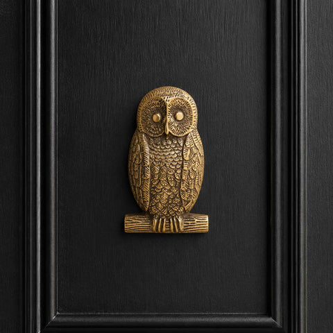 Front-facing view of an aged brass owl door knocker installed on a black entrance door, showcasing the detailed feather and eye design.