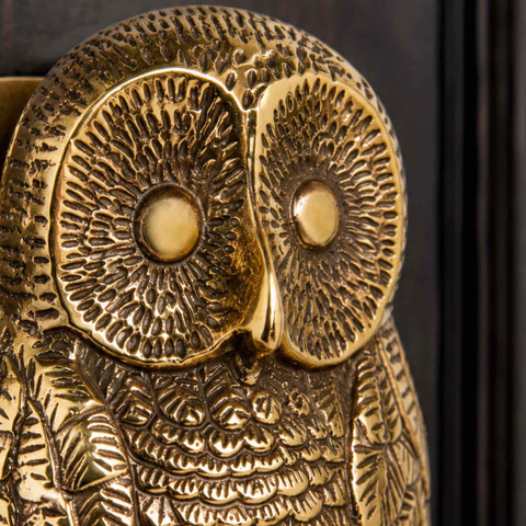 Macro close-up of the aged brass owl door knocker highlighting the intricate owl face, textured feathers and aged brass finish.