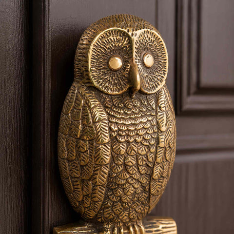 Angled close-up of the aged brass owl door knocker mounted on a dark timber door, showing the depth of detail and three-dimensional design.