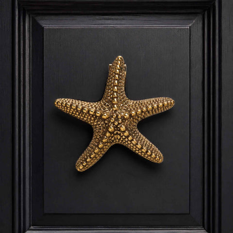 Solid brass starfish door knocker with aged brass finish and fixing hardware on a white background.