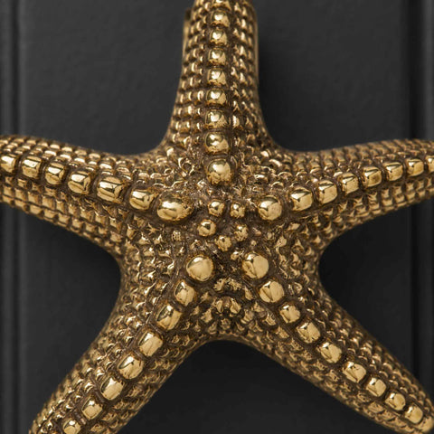 Detailed close-up of aged brass starfish door knocker highlighting nautical texture and finish.