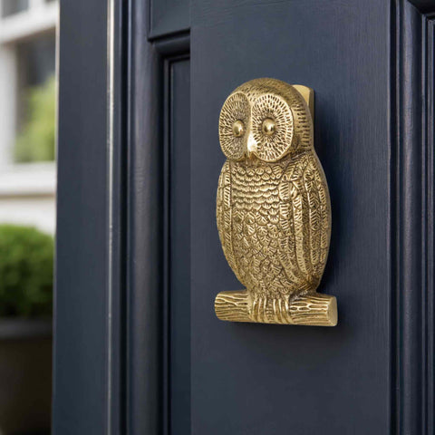 Polished brass owl door knocker fitted to a dark blue front door, highlighting the traditional design and bright brass finish.