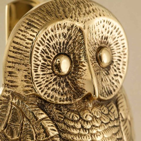 Close-up of the polished brass owl door knocker face showing the intricate eyes, beak and textured detailing.