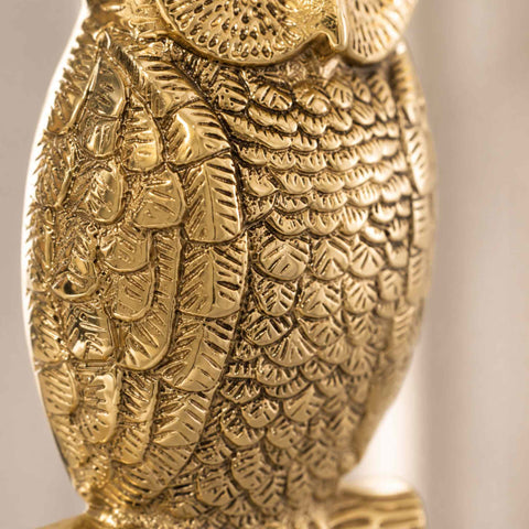 Detailed close-up of the polished brass owl door knocker feathers, highlighting the ornate craftsmanship and textured wing pattern.