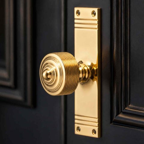 Close-up of a polished brass reeded door knob on matching backplate, highlighting the precision-machined reeded design and reflective finish.