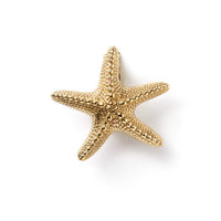 Thumbnail for Polished Brass Starfish Door Knocker