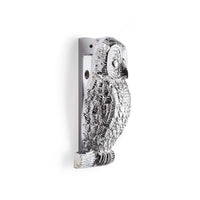 Thumbnail for Polished Chrome Owl Door Knocker