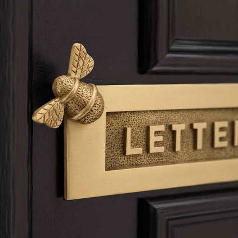 Close-Up of Satin Brass Bumble Bee Detail on LETTERS Letter Plate