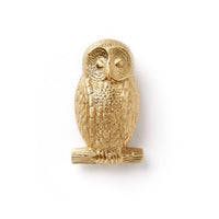 Thumbnail for Satin Brass Owl Door Knocker