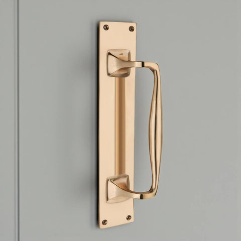 Polished solid brass door pull handle fitted to a door, mounted vertically on a rectangular backplate.
